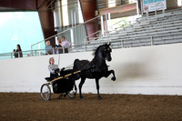 CA_Springfest19_FriAM_9100