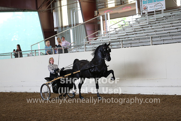 CA_Springfest19_FriAM_9100