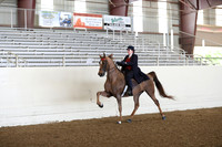 CA_Springfest19_FriAM_9048