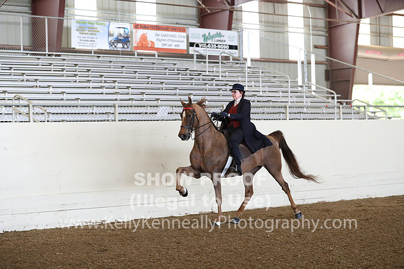 CA_Springfest19_FriAM_9048