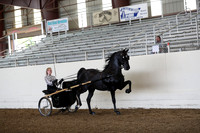 CA_Springfest19_FriAM_9101