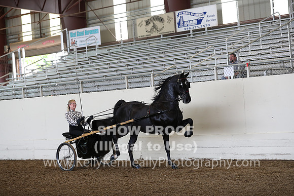 CA_Springfest19_FriAM_9101
