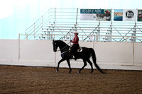 CA_Springfest19_FriAM_9119