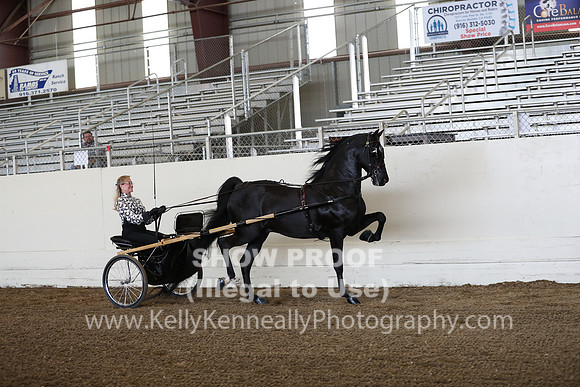 CA_Springfest19_FriAM_9102