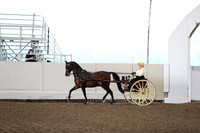 Class 27 Carriage Pleasure Driving Reinsmanship