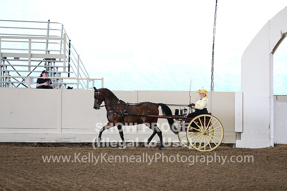 CA_Springfest19_FriAM_9149