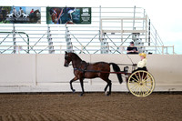 CA_Springfest19_FriAM_9150