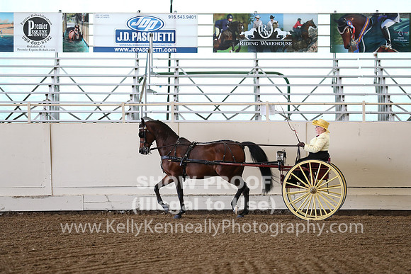 CA_Springfest19_FriAM_9151