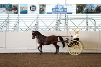 CA_Springfest19_FriAM_9152