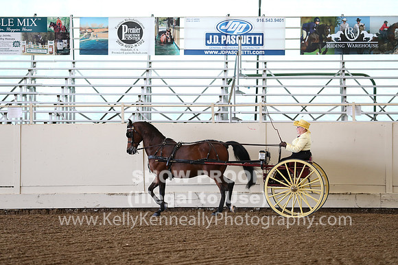 CA_Springfest19_FriAM_9152