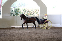 CA_Springfest19_FriAM_9153