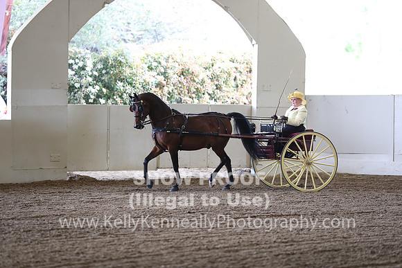 CA_Springfest19_FriAM_9153