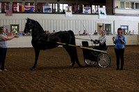 CA_Springfest19_FriAM_9104