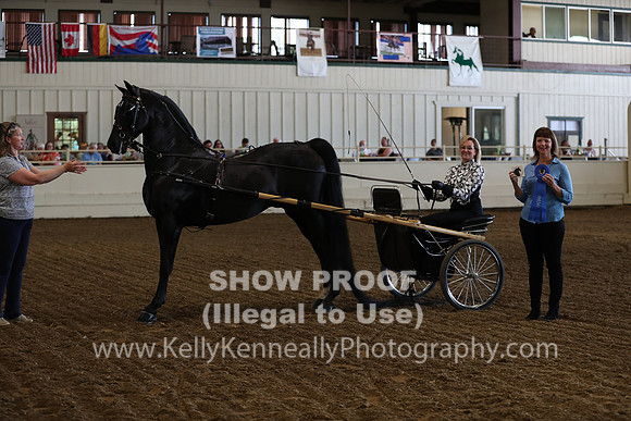 CA_Springfest19_FriAM_9104