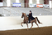 CA_Springfest19_FriAM_9049
