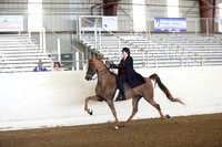 CA_Springfest19_FriAM_9050