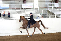 CA_Springfest19_FriAM_9051