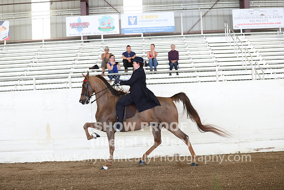 CA_Springfest19_FriAM_9052
