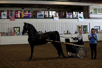 CA_Springfest19_FriAM_9105