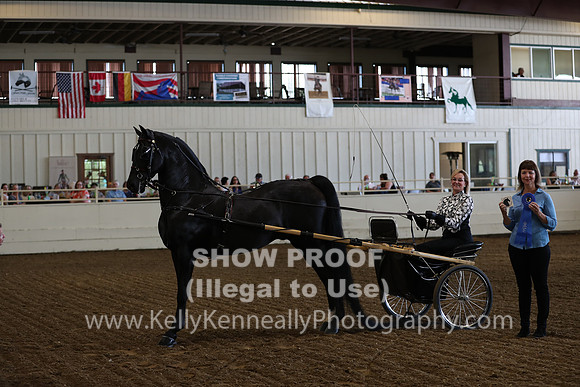 CA_Springfest19_FriAM_9105