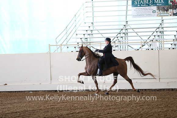 CA_Springfest19_FriAM_9053
