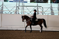 CA_Springfest19_FriAM_9124