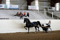 CA_Springfest19_FriAM_9106