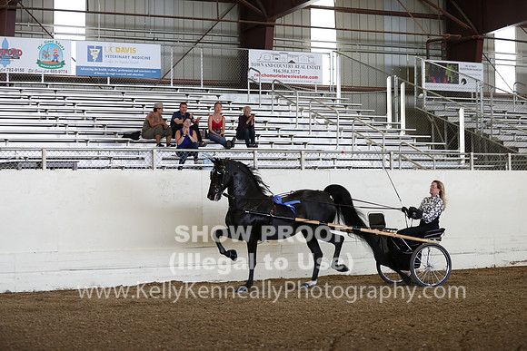 CA_Springfest19_FriAM_9106