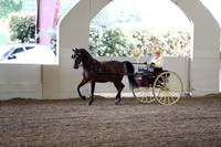 CA_Springfest19_FriAM_9154