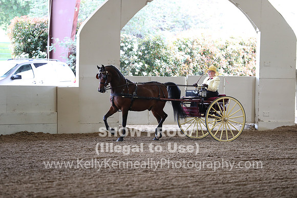 CA_Springfest19_FriAM_9154
