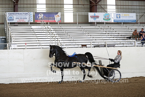 CA_Springfest19_FriAM_9108