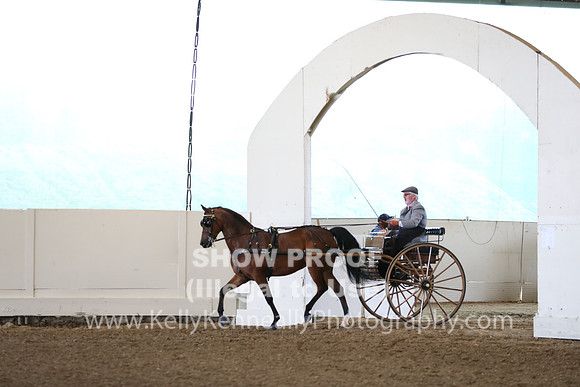 CA_Springfest19_FriAM_9155