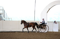 CA_Springfest19_FriAM_9156