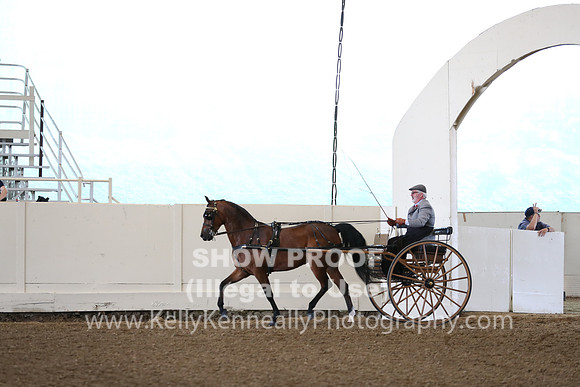 CA_Springfest19_FriAM_9156