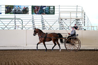 CA_Springfest19_FriAM_9157