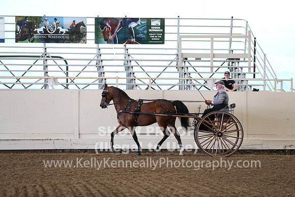 CA_Springfest19_FriAM_9157