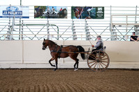 CA_Springfest19_FriAM_9158