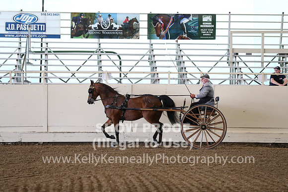 CA_Springfest19_FriAM_9158
