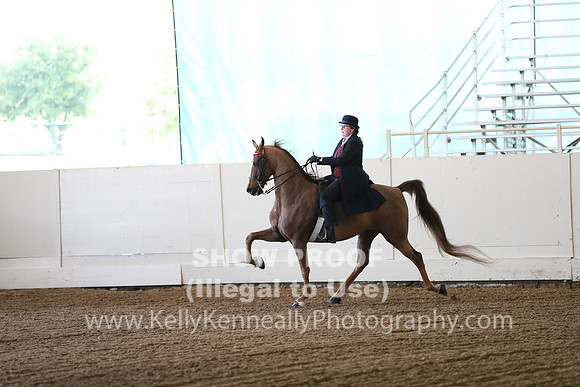 CA_Springfest19_FriAM_9054