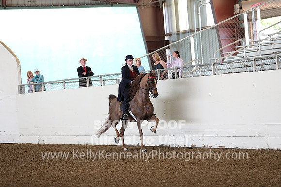 CA_Springfest19_FriAM_9056