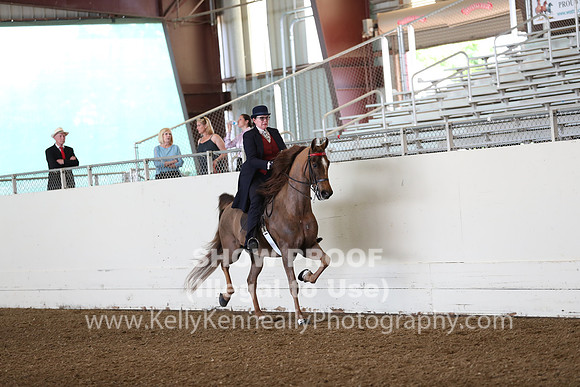 CA_Springfest19_FriAM_9057