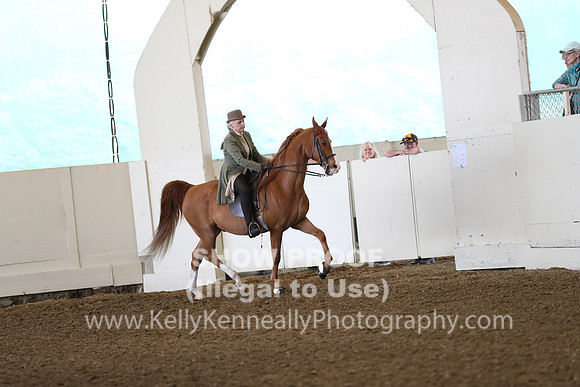 CA_Springfest19_FriAM_9059