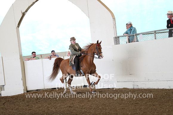 CA_Springfest19_FriAM_9060