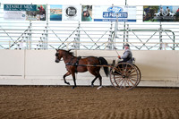 CA_Springfest19_FriAM_9159