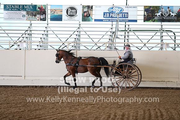 CA_Springfest19_FriAM_9159