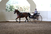 CA_Springfest19_FriAM_9161