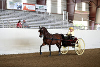 CA_Springfest19_FriAM_9162