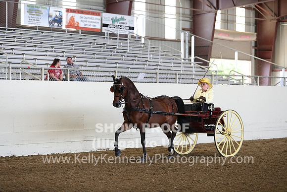 CA_Springfest19_FriAM_9162