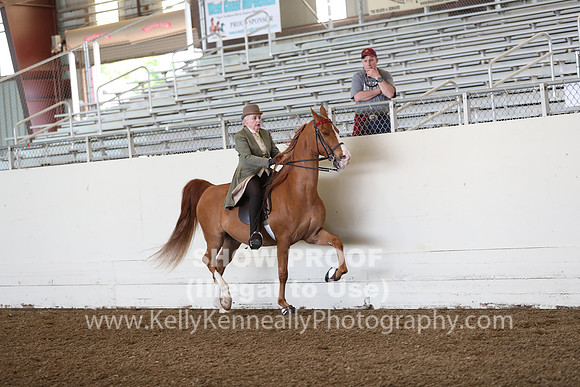 CA_Springfest19_FriAM_9063