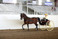 CA_Springfest19_FriAM_9163